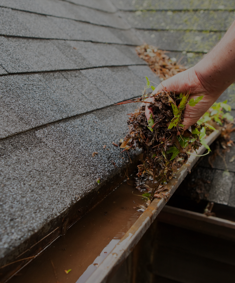 Gutter Cleaning